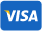 Visa icon